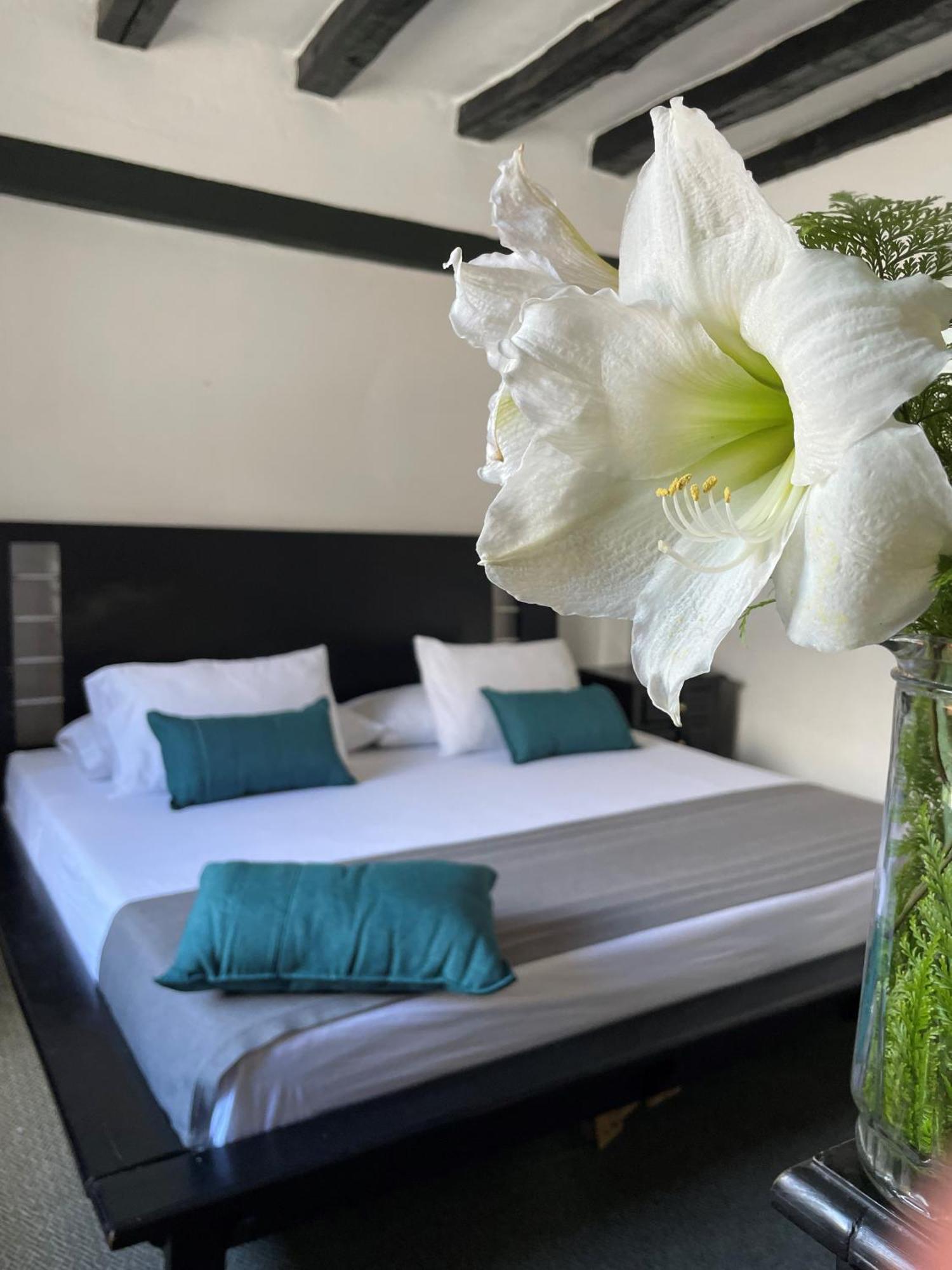 Hotel Premium Real Медельїн Екстер'єр фото